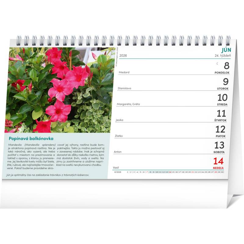 NOTIQUE Stolový kalendár Záhradkár 2026, 23,1 x 14,5 cm NOTIQUE Stolový kalendár Záhradkár 2026, 23,1 x 14,5 cm