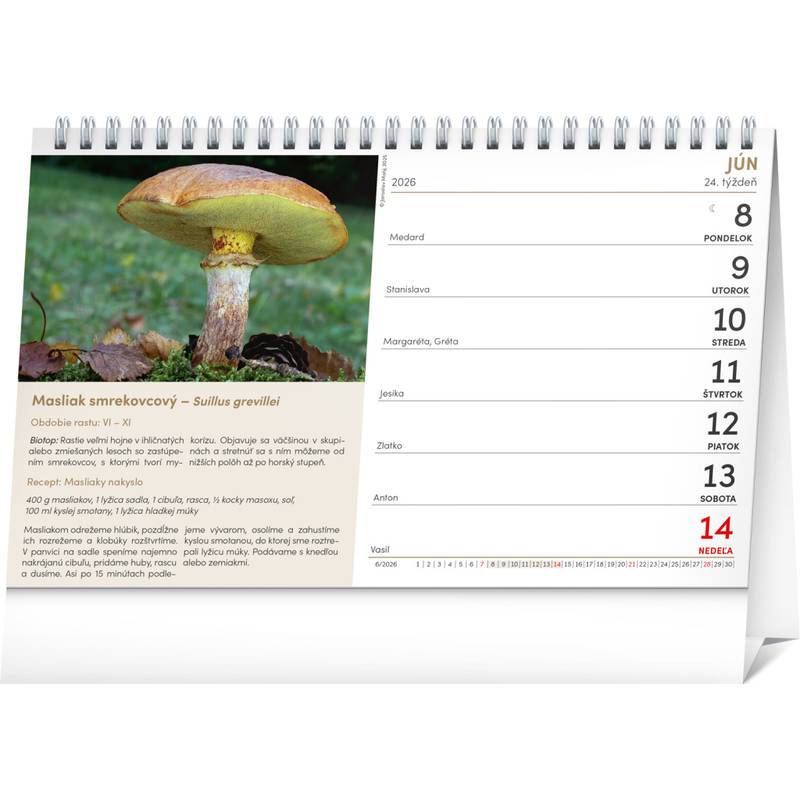 NOTIQUE Stolový kalendár Huby 2026, 23,1 x 14,5 cm NOTIQUE Stolový kalendár Huby 2026, 23,1 x 14,5 cm
