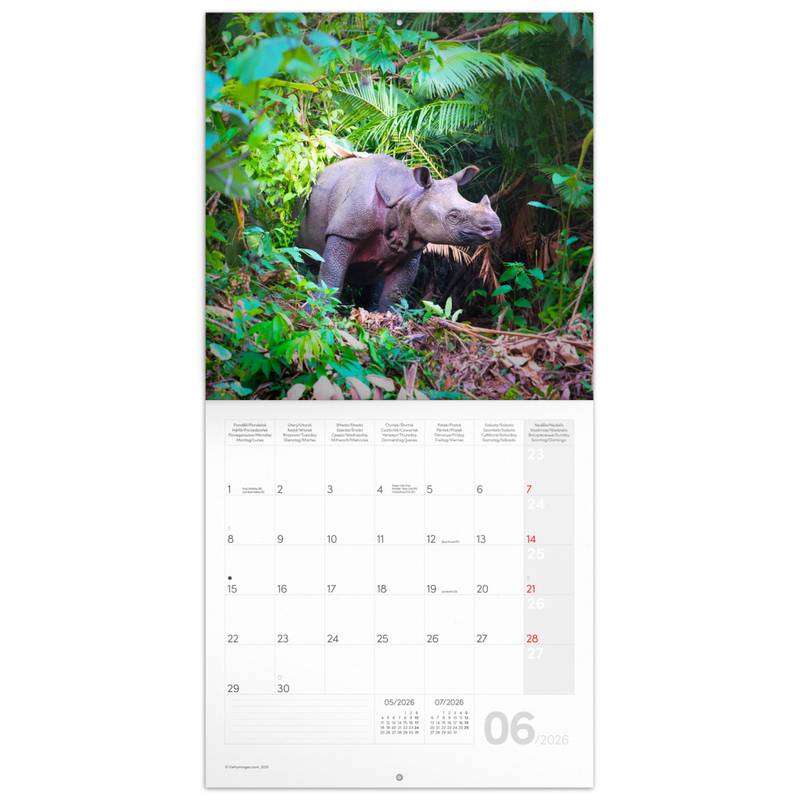 NOTIQUE Poznámkový kalendář Ohrožené druhy 2026, 30 x 30 cm NOTIQUE Poznámkový kalendář Ohrožené druhy 2026, 30 x 30 cm