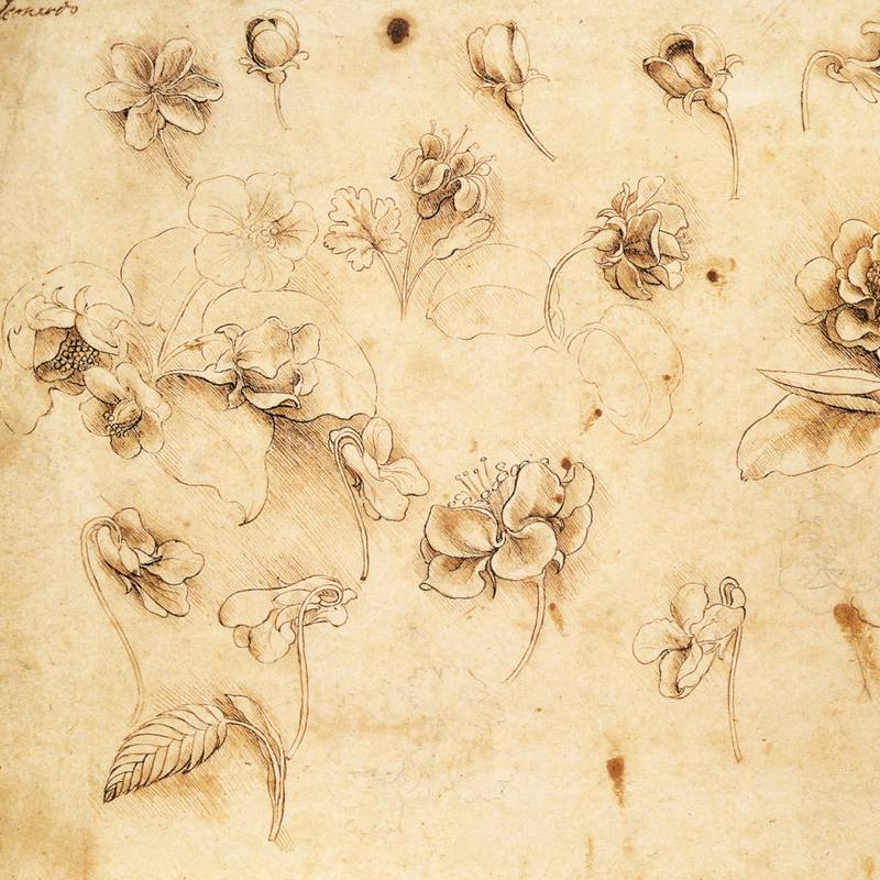 NOTIQUE Poznámkový kalendář Leonardo da Vinci 2026, 30 x 30 cm NOTIQUE Poznámkový kalendář Leonardo da Vinci 2026, 30 x 30 cm