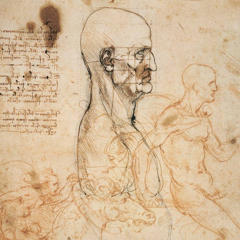 NOTIQUE Poznámkový kalendář Leonardo da Vinci 2026, 30 x 30 cm NOTIQUE Poznámkový kalendář Leonardo da Vinci 2026, 30 x 30 cm