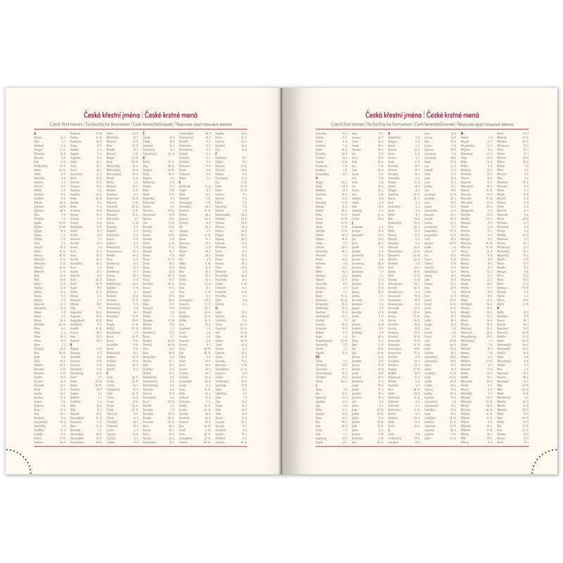 NOTIQUE Denný diár Essenza 2026, čerešňa, 15 x 21 cm NOTIQUE Denný diár Essenza 2026, čerešňa, 15 x 21 cm