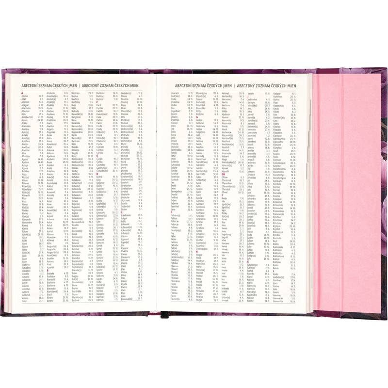 NOTIQUE Týždenný magnetický diár Fialové kvety 2026, 13 x 21 cm NOTIQUE Týždenný magnetický diár Fialové kvety 2026, 13 x 21 cm