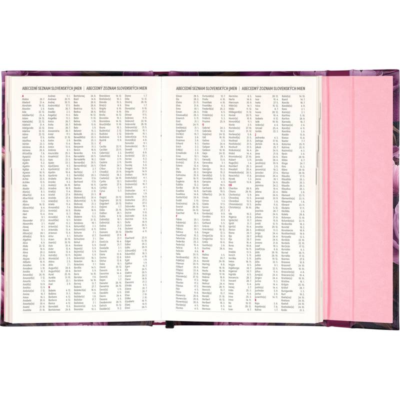 NOTIQUE Týždenný magnetický diár Fialové kvety 2026, 13 x 21 cm NOTIQUE Týždenný magnetický diár Fialové kvety 2026, 13 x 21 cm