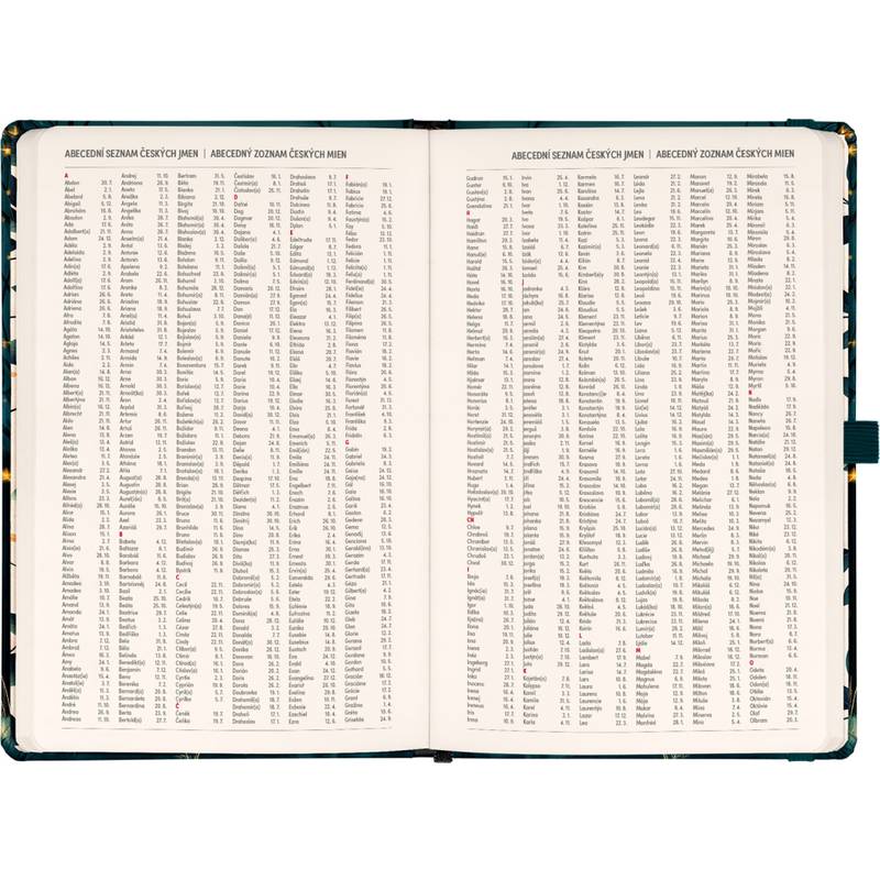 NOTIQUE Planbook diář/notes Liška 2026, 13 x 21 cm NOTIQUE Planbook diář/notes Liška 2026, 13 x 21 cm