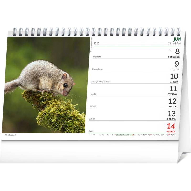 NOTIQUE Stolový Poľovnícky kalendár 2026, 23,1 x 14,5 cm NOTIQUE Stolový Poľovnícky kalendár 2026, 23,1 x 14,5 cm