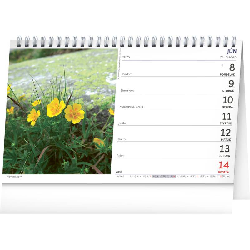 NOTIQUE Stolový kalendár Tatry 2026, 23,1 x 14,5 cm NOTIQUE Stolový kalendár Tatry 2026, 23,1 x 14,5 cm