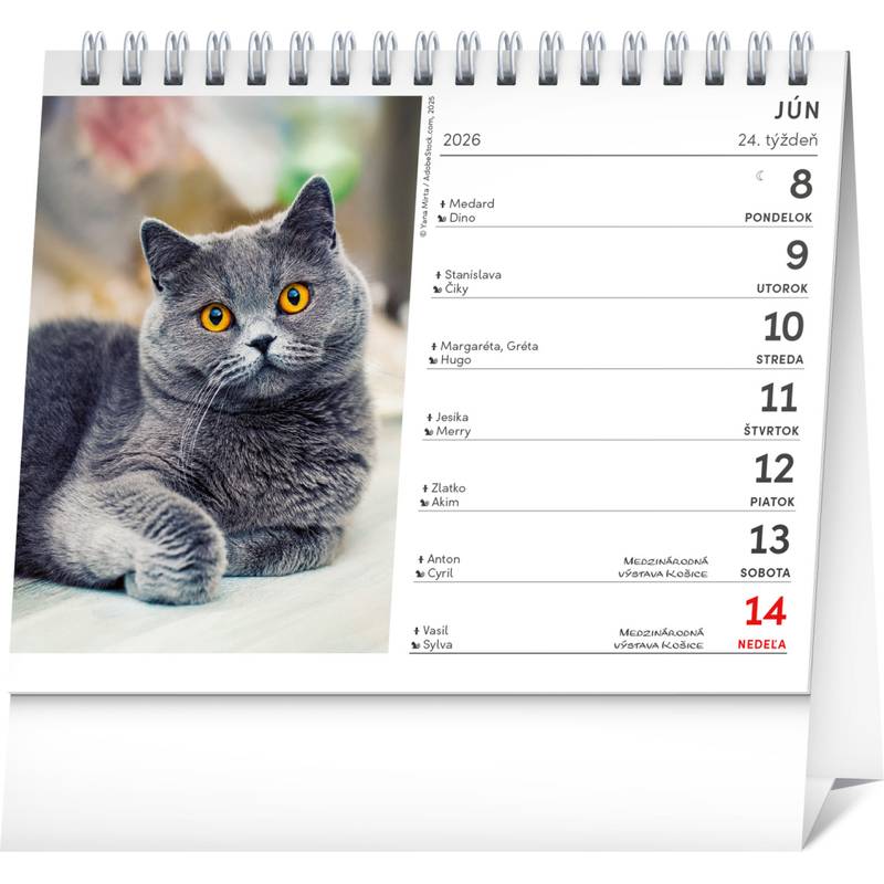 NOTIQUE Stolový kalendár Mačky – s menami mačiek 2026, 16,5 x 13 cm NOTIQUE Stolový kalendár Mačky – s menami mačiek 2026, 16,5 x 13 cm