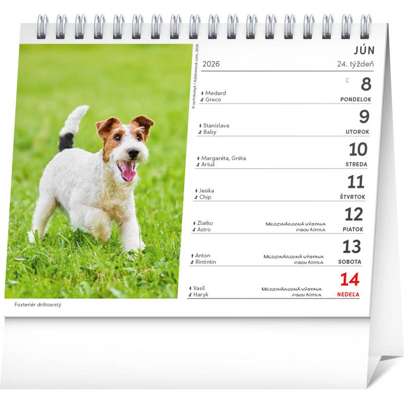 NOTIQUE Stolový kalendár Psy – s menami psov 2026, 16,5 x 13 cm NOTIQUE Stolový kalendár Psy – s menami psov 2026, 16,5 x 13 cm
