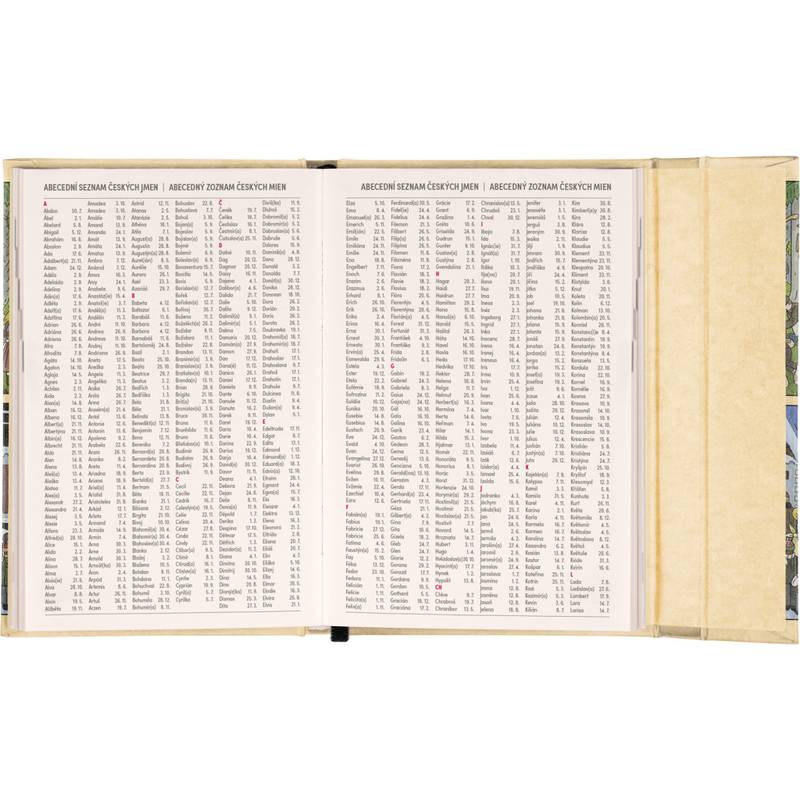 NOTIQUE Týždenný magnetický diár Josef Lada 2026, 11 x 16 cm NOTIQUE Týždenný magnetický diár Josef Lada 2026, 11 x 16 cm