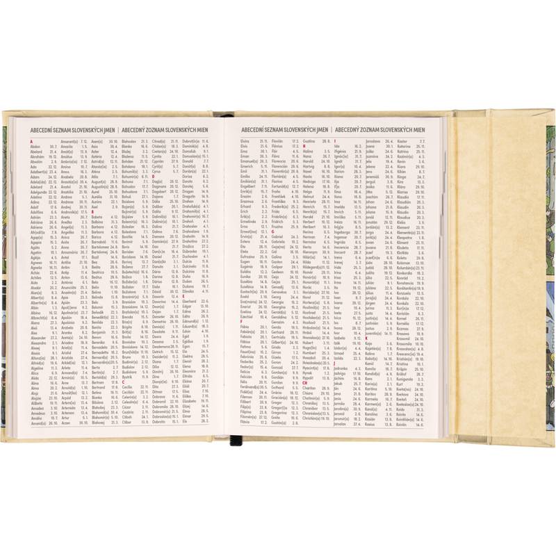 NOTIQUE Týždenný magnetický diár Josef Lada 2026, 11 x 16 cm NOTIQUE Týždenný magnetický diár Josef Lada 2026, 11 x 16 cm