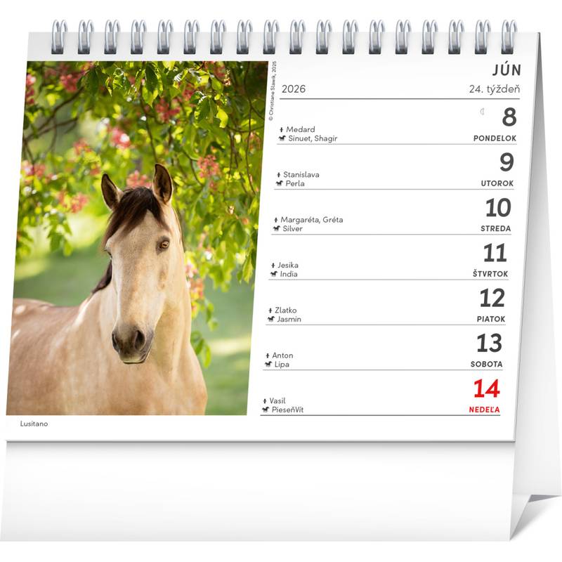NOTIQUE Stolový kalendár Poézia koní 2026, 16,5 x 13 cm NOTIQUE Stolový kalendár Poézia koní 2026, 16,5 x 13 cm
