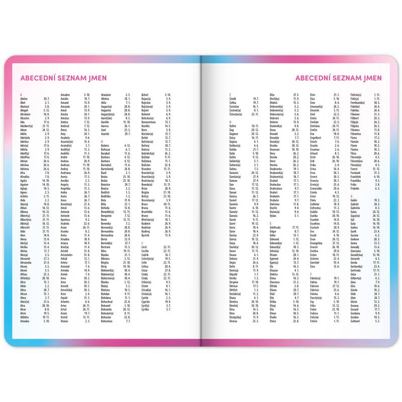 NOTIQUE Školní diář Růžový (září 2025 – prosinec 2026), 9,8 x 14,5 cm NOTIQUE Školní diář Růžový (září 2025 – prosinec 2026), 9,8 x 14,5 cm