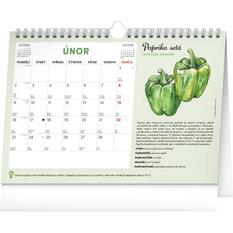 NOTIQUE Měsíční plánovací kalendář se semínky CZ 2026, 30 x 21 cm NOTIQUE Měsíční plánovací kalendář se semínky CZ 2026, 30 x 21 cm