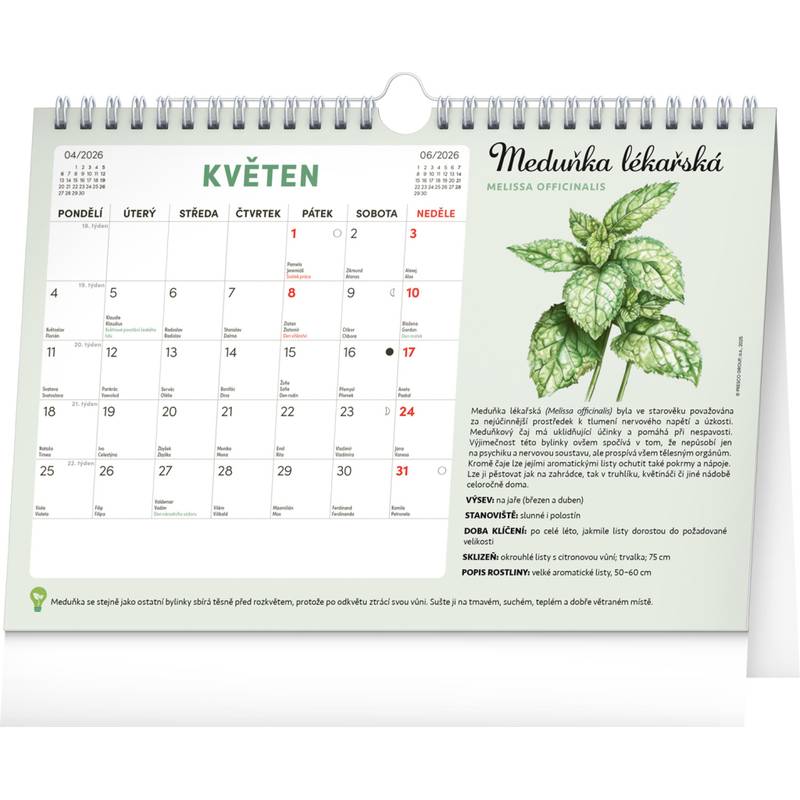 NOTIQUE Měsíční plánovací kalendář se semínky CZ 2026, 30 x 21 cm NOTIQUE Měsíční plánovací kalendář se semínky CZ 2026, 30 x 21 cm