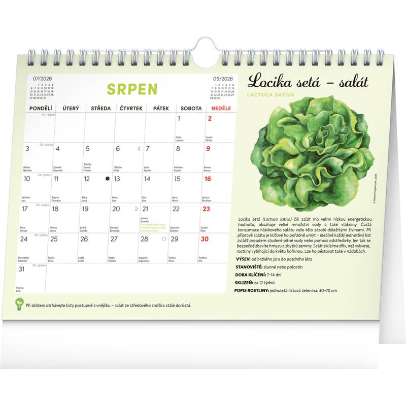 NOTIQUE Měsíční plánovací kalendář se semínky CZ 2026, 30 x 21 cm NOTIQUE Měsíční plánovací kalendář se semínky CZ 2026, 30 x 21 cm