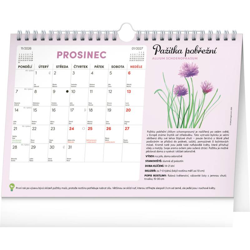 NOTIQUE Měsíční plánovací kalendář se semínky CZ 2026, 30 x 21 cm NOTIQUE Měsíční plánovací kalendář se semínky CZ 2026, 30 x 21 cm