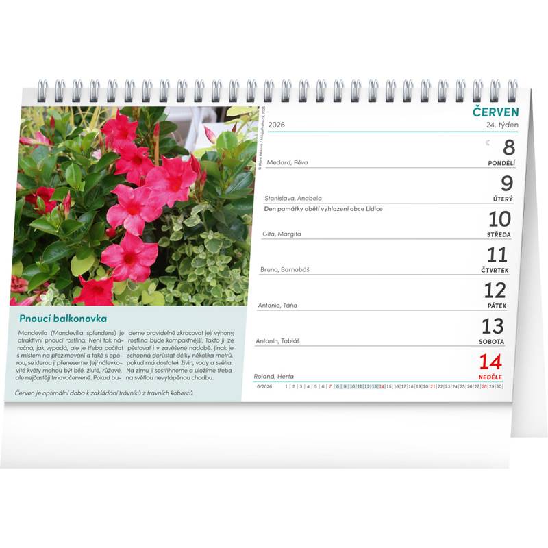 NOTIQUE Stolní kalendář Zahrádkář CZ 2026, 23,1 x 14,5 cm NOTIQUE Stolní kalendář Zahrádkář CZ 2026, 23,1 x 14,5 cm