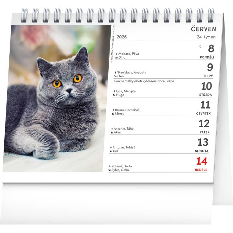 NOTIQUE Stolní kalendář Kočky – se jmény koček CZ 2026, 16,5 x 13 cm NOTIQUE Stolní kalendář Kočky – se jmény koček CZ 2026, 16,5 x 13 cm