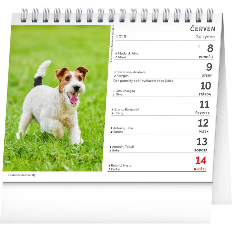 NOTIQUE Stolní kalendář Psi – se jmény psů CZ 2026, 16,5 x 13 cm, 16,5 x 13 cm NOTIQUE Stolní kalendář Psi – se jmény psů CZ 2026, 16,5 x 13 cm, 16,5 x 13 cm