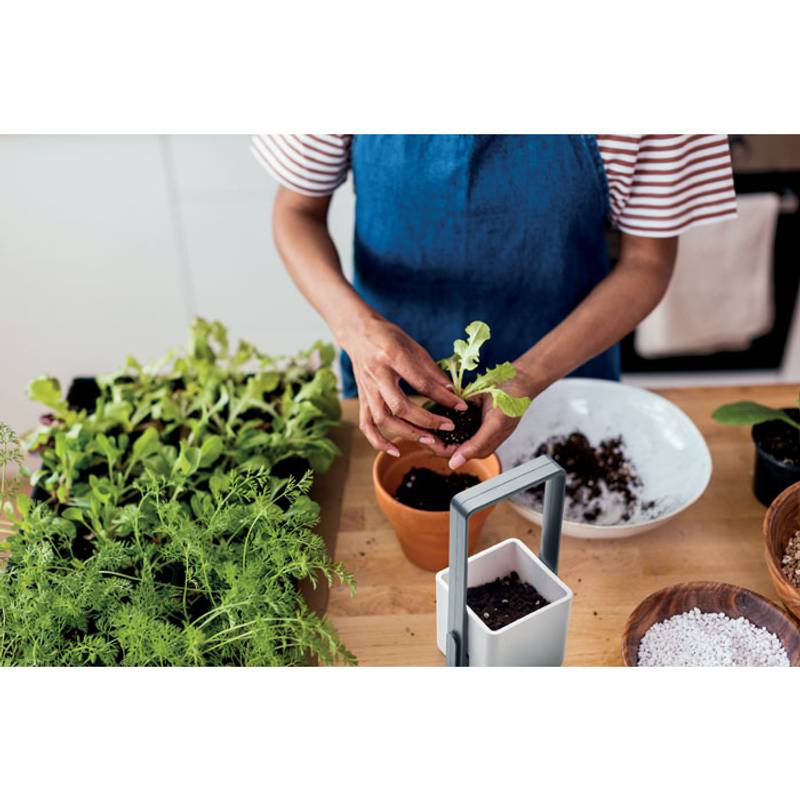 Vnútorná záhradka s LED svetlom, biela Vnútorná záhradka s LED svetlom, biela