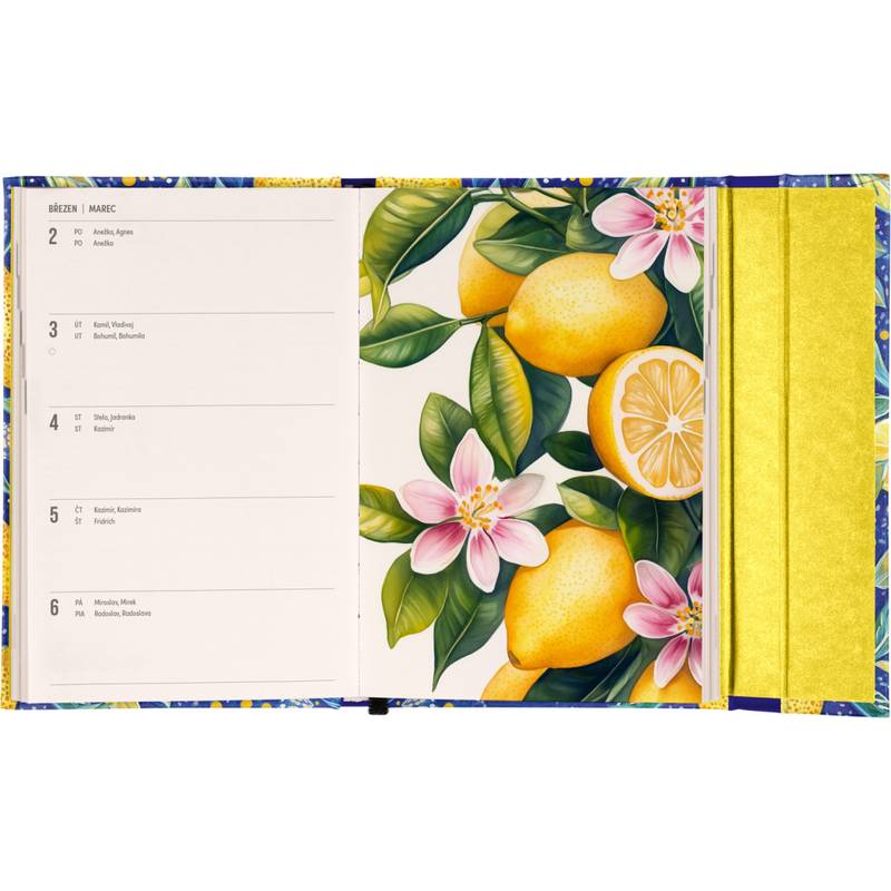 NOTIQUE Týždenný magnetický diár Citróny 2026, 11 x 16 cm NOTIQUE Týždenný magnetický diár Citróny 2026, 11 x 16 cm