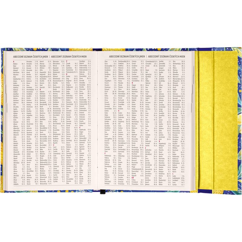 NOTIQUE Týždenný magnetický diár Citróny 2026, 11 x 16 cm NOTIQUE Týždenný magnetický diár Citróny 2026, 11 x 16 cm