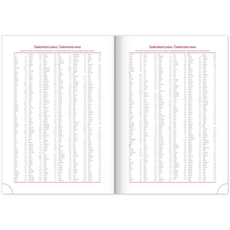 NOTIQUE Denný diár Aprint Top 2026, oranžový, 15 x 21 cm NOTIQUE Denný diár Aprint Top 2026, oranžový, 15 x 21 cm