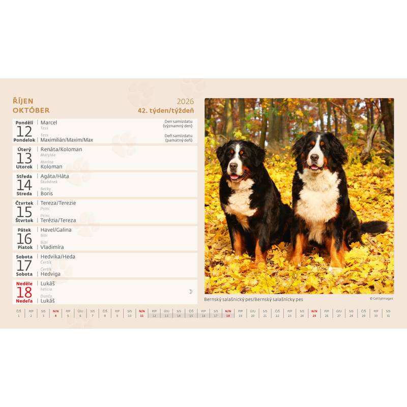 Kalendář Pejskové, 2026 Kalendář Pejskové, 2026