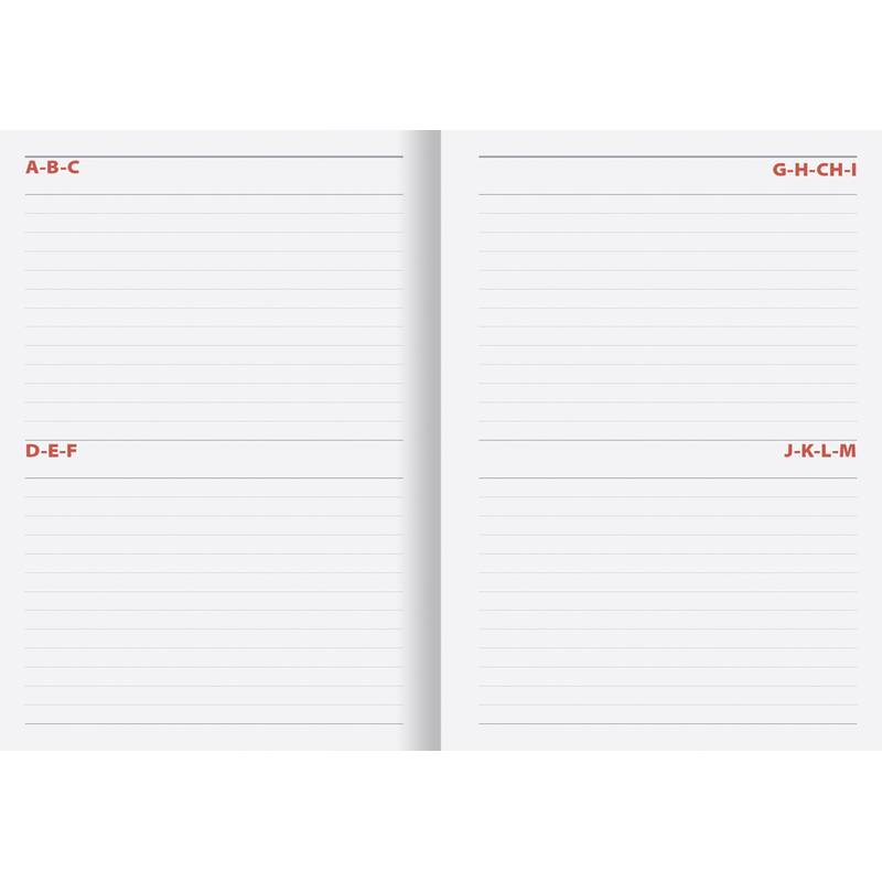 Denný diár Manager 2026 - modrý Denný diár Manager 2026 - modrý