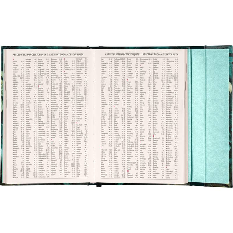 NOTIQUE Týždenný magnetický diár Monstera 2026, 11 x 16 cm NOTIQUE Týždenný magnetický diár Monstera 2026, 11 x 16 cm