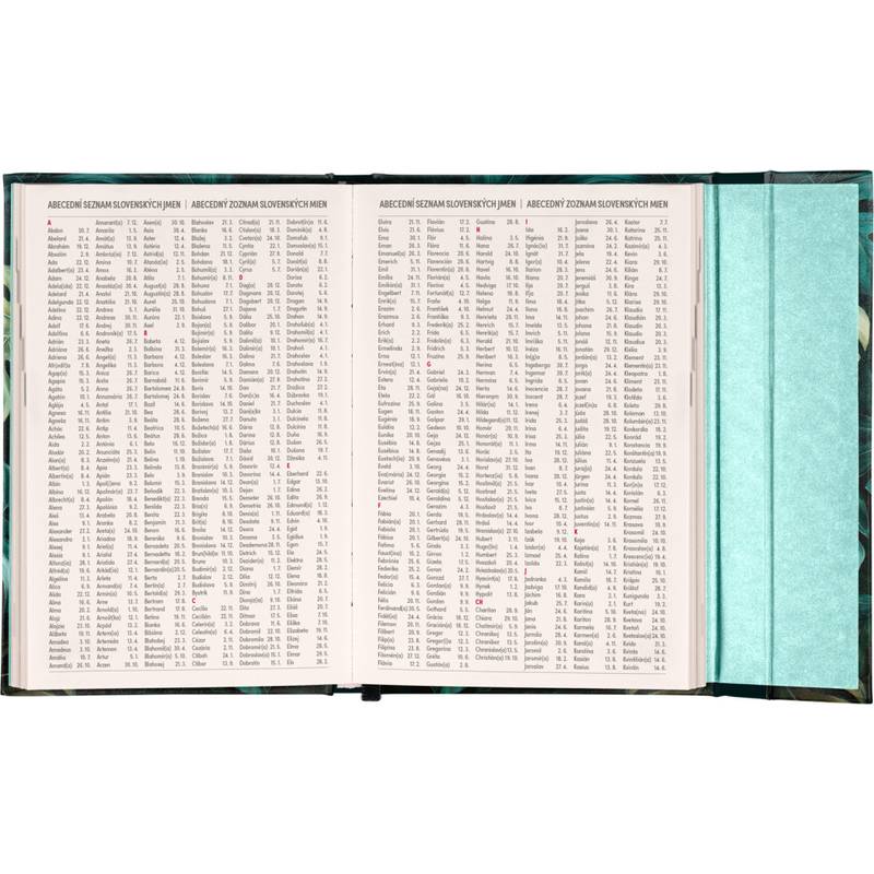 NOTIQUE Týždenný magnetický diár Monstera 2026, 11 x 16 cm NOTIQUE Týždenný magnetický diár Monstera 2026, 11 x 16 cm