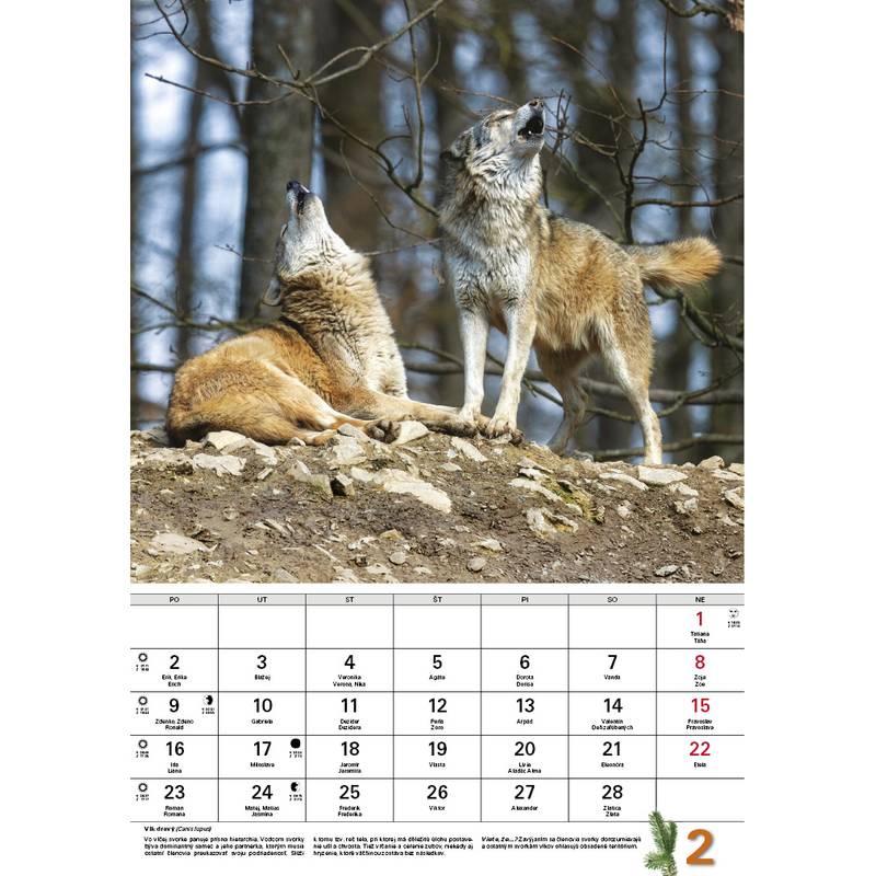 Nástenný Kalendár Poľovnícky 340x485mm,2026 Nástenný Kalendár Poľovnícky 340x485mm,2026