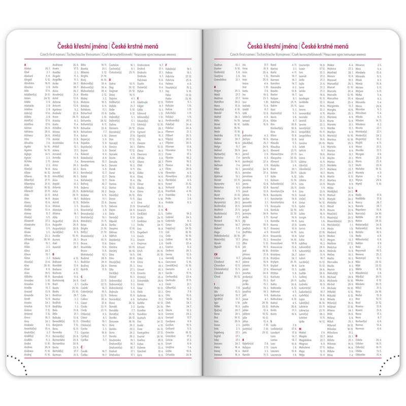 NOTIQUE Kapesní diář Ajax 2026, zlatý, 9 x 15,5 cm NOTIQUE Kapesní diář Ajax 2026, zlatý, 9 x 15,5 cm