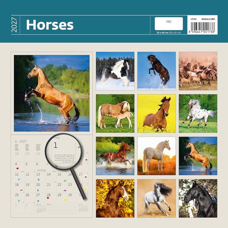 Kalendář Horses, 2027 Kalendář Horses, 2027