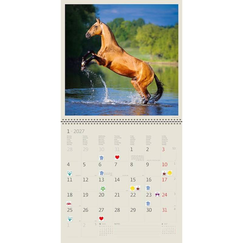 Kalendář Horses, 2027 Kalendář Horses, 2027