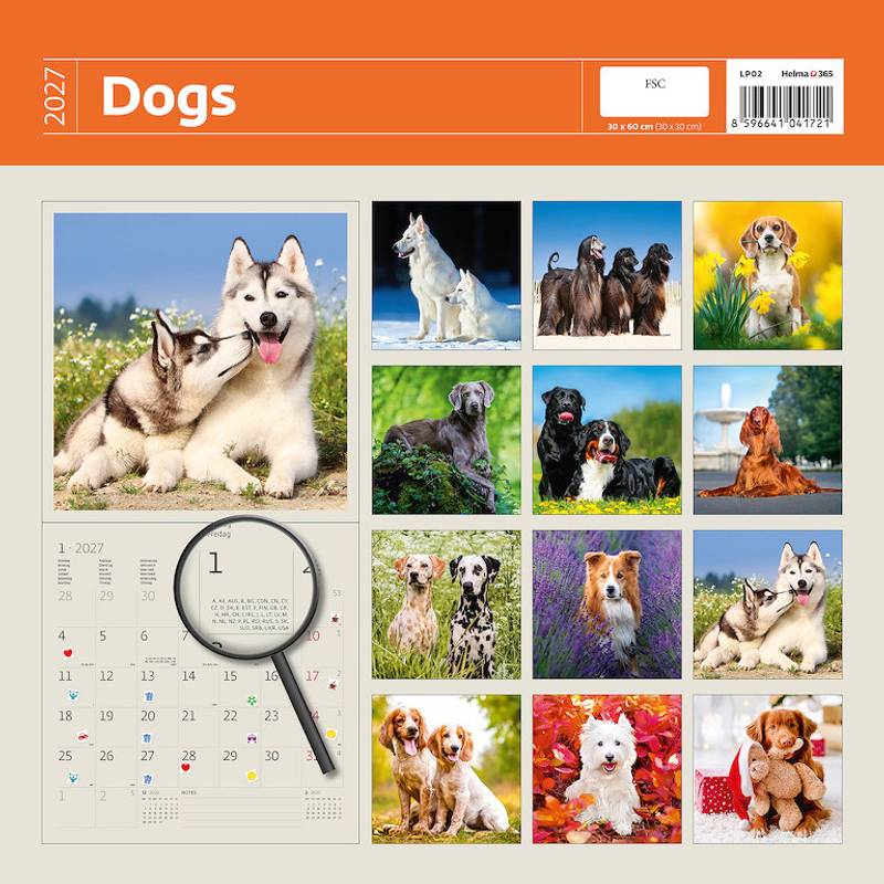 Kalendár Dogs Kalendár Dogs