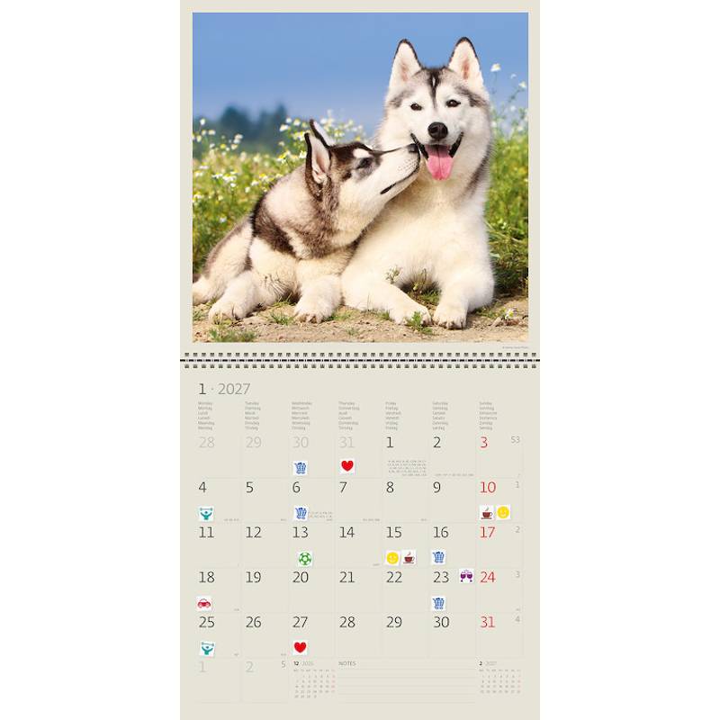Kalendár Dogs Kalendár Dogs