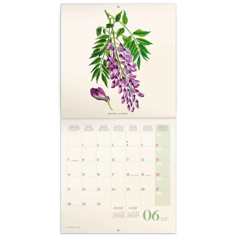 NOTIQUE Poznámkový kalendář Herbář 2027, PLASTIC FREE, 30 x 30 cm NOTIQUE Poznámkový kalendář Herbář 2027, PLASTIC FREE, 30 x 30 cm