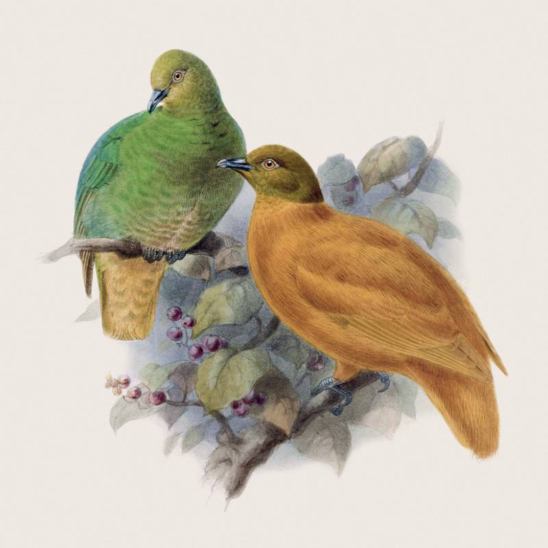 NOTIQUE Poznámkový kalendář Ptáčci 2027, PLASTIC FREE, 30 x 30 cm NOTIQUE Poznámkový kalendář Ptáčci 2027, PLASTIC FREE, 30 x 30 cm