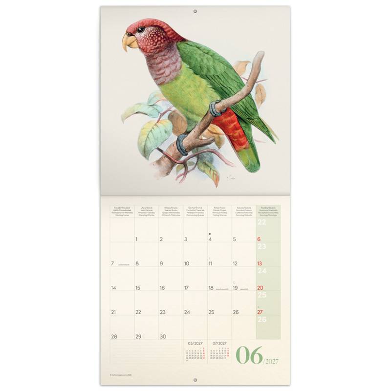 NOTIQUE Poznámkový kalendář Ptáčci 2027, PLASTIC FREE, 30 x 30 cm NOTIQUE Poznámkový kalendář Ptáčci 2027, PLASTIC FREE, 30 x 30 cm