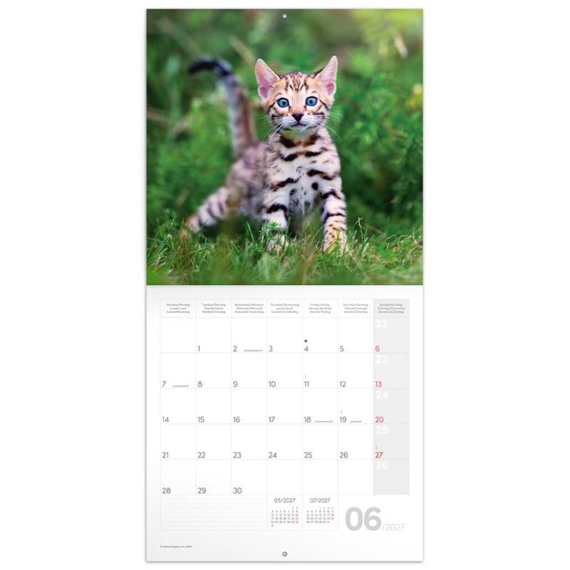 NOTIQUE Grid calendar Kittens 2027, 30 x 30 cm NOTIQUE Grid calendar Kittens 2027, 30 x 30 cm