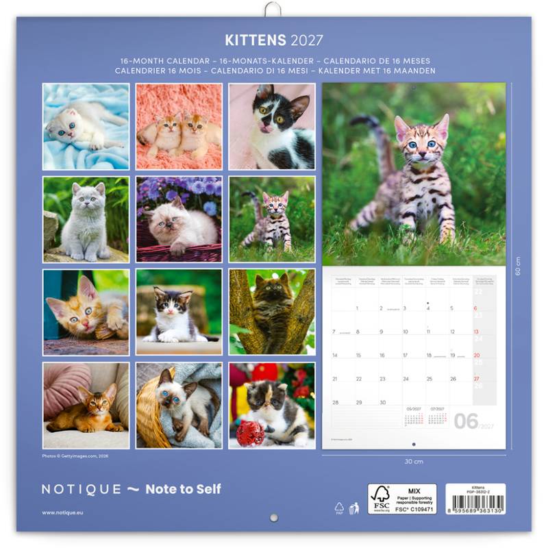 NOTIQUE Grid calendar Kittens 2027, 30 x 30 cm NOTIQUE Grid calendar Kittens 2027, 30 x 30 cm