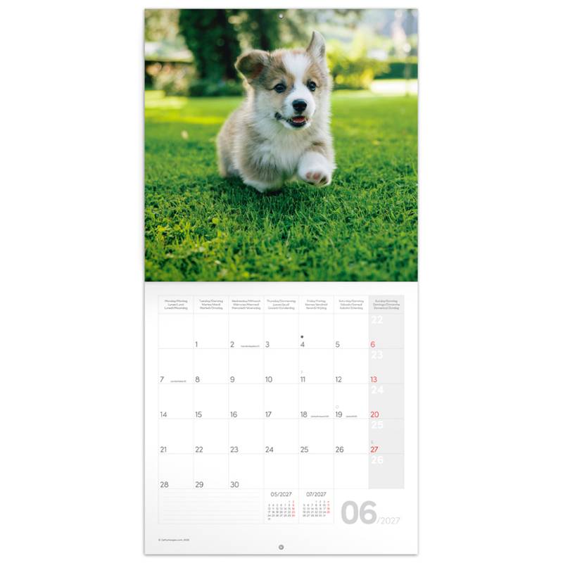 NOTIQUE Grid calendar Animal Cuties 2027, 30 x 30 cm NOTIQUE Grid calendar Animal Cuties 2027, 30 x 30 cm