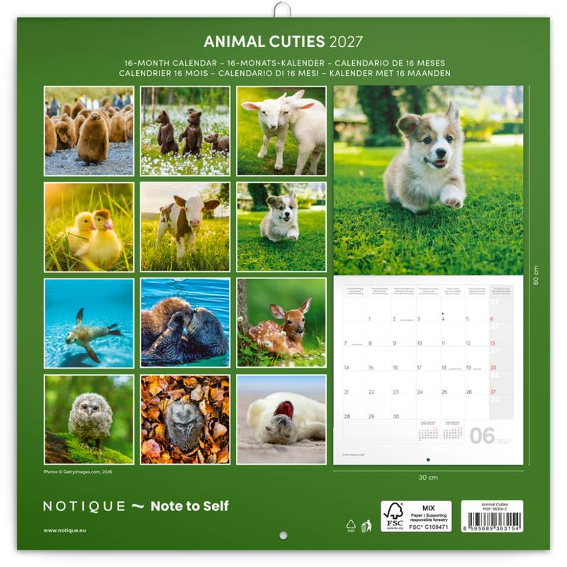 NOTIQUE Grid calendar Animal Cuties 2027, 30 x 30 cm NOTIQUE Grid calendar Animal Cuties 2027, 30 x 30 cm