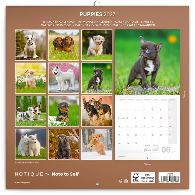 NOTIQUE Grid calendar Puppies 2027, 30 x 30 cm NOTIQUE Grid calendar Puppies 2027, 30 x 30 cm
