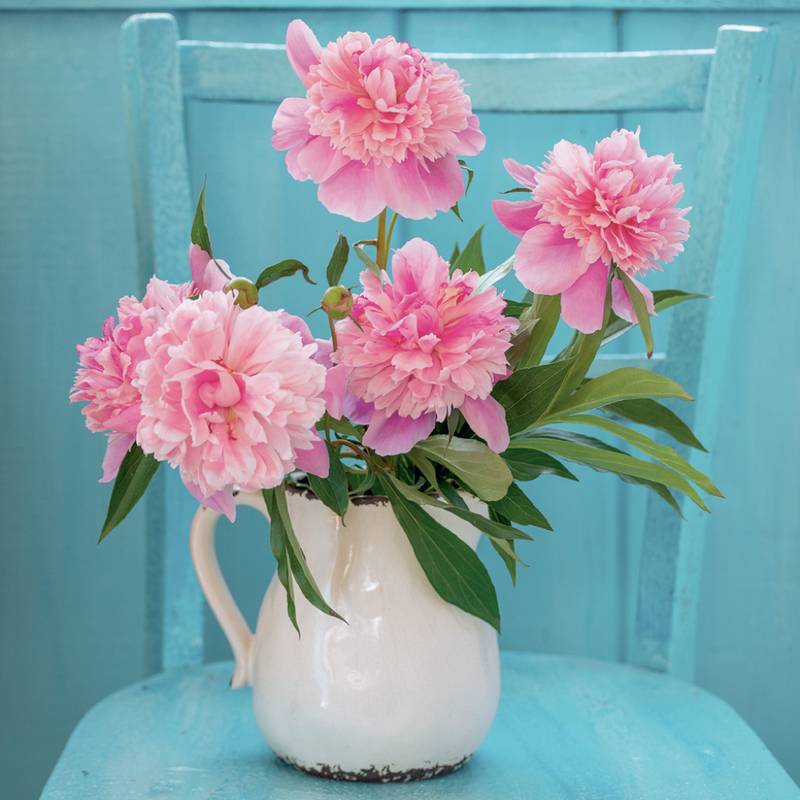 NOTIQUE Grid calendar Flowers 2027, 30 x 30 cm NOTIQUE Grid calendar Flowers 2027, 30 x 30 cm