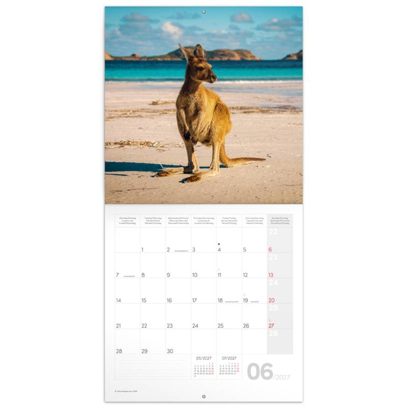NOTIQUE Grid calendar Wild Animals 2027, 30 x 30 cm NOTIQUE Grid calendar Wild Animals 2027, 30 x 30 cm