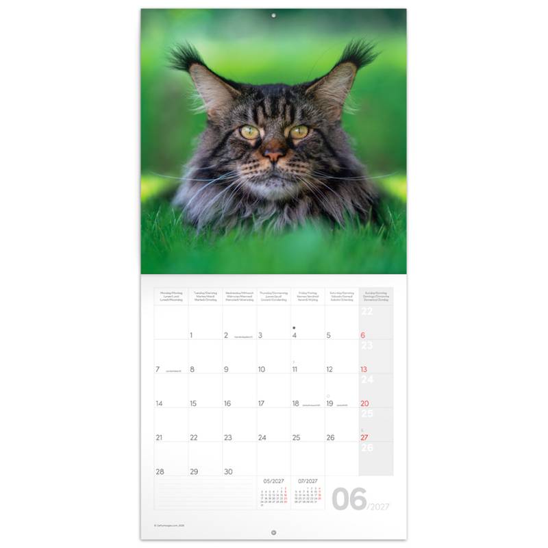 NOTIQUE Grid calendar Cats 2027, 30 x 30 cm NOTIQUE Grid calendar Cats 2027, 30 x 30 cm