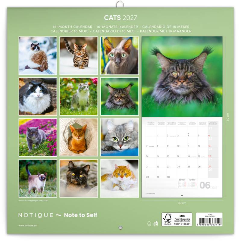 NOTIQUE Grid calendar Cats 2027, 30 x 30 cm NOTIQUE Grid calendar Cats 2027, 30 x 30 cm